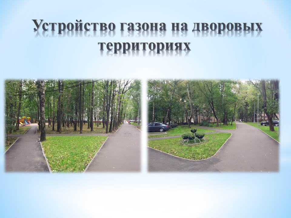 Слайд13.JPG