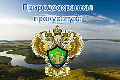 Межрайонная природоохранная прокуратура г. Москвы разъясняет: Уголовная ответственность за невыплату заработной платы и иных обязательных выплат