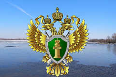 По указанию мошенников пенсионерка купила часы стоимостью более 27 млн рублей и передала их курьеру