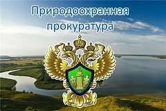Прокуратура требует взыскать с нарушителя Правил дорожного движения ущерб, причиненный окружающей среде на бульваре Яна Райниса