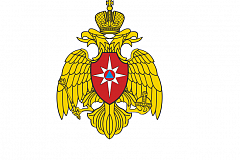 МЧС Москвы продолжает занятия в онлайн-формате