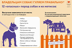 С целью формирования и развития в обществе культуры гуманного и ответственного отношения с животными