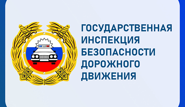 Обзор ДТП с 07.10-13.10.2024 г.